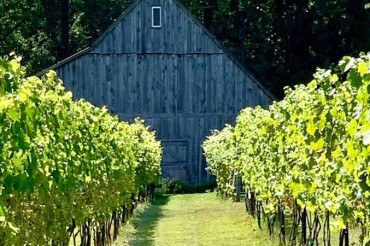 Hillis' Sugarbush Farm & Vineyard