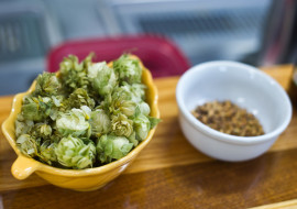 Vermont Beer Makers