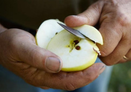 Wood's Cider Mill