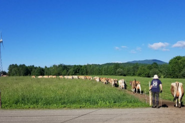 Meet the Dairy Farm: Butterworks Farm