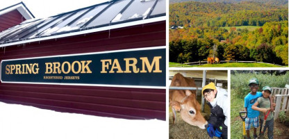 Meet the Dairy Farm: Spring Brook Farm