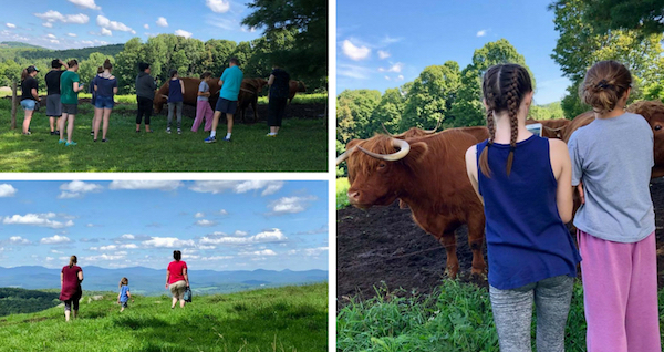 Greenfieldhighlandbeef ofw2018