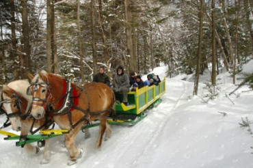 Thunder Mountain Maple | Maple Open House Weekend