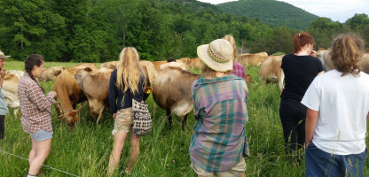 Open Farm Week: Classes & Workshops