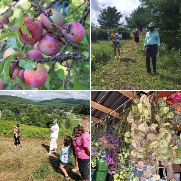 Lightfoot Farm Collage