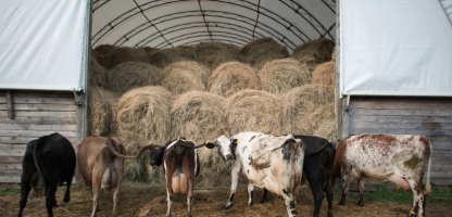 Open Farm Week 2017: Participating Farms and Farmers  Markets