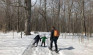 Winter Farm Trails in Vermont