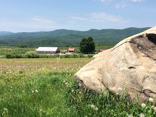 Wellwood Orchards rock view