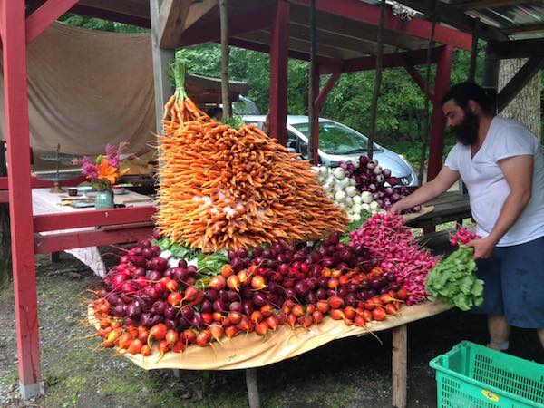 brattleboro carrots2