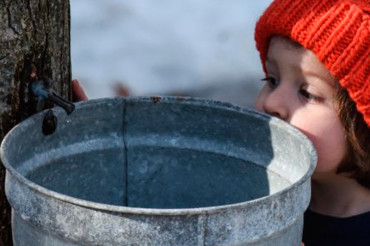 Magic of Maple at Billings Farm & Museum