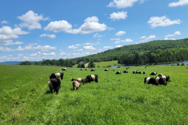 Walking Farm Tour at Chandler Pond Farm | Open Farm Week 2024