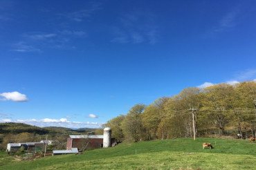 Climate Farmer Stories Exhibit at Fledgling Farmstead | Open Farm Week 2024