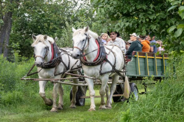 POSTPONED: 4th Annual Community Farm & Food Celebration with the Center for an Agricultural Economy & Hardwick Farmers Market | Open Farm Week 2024