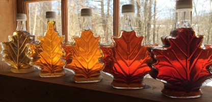 Sweeten Up the Holidays with Vermont Maple | DigInVT Gift Guide 2024