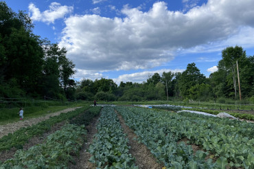 No-till Tour at Milkweed Farm | Open Farm Week 2024