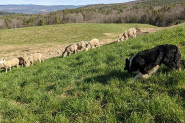 Sneak Peek! Vermont Open Farm Week 2024