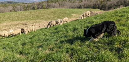 Sneak Peek! Vermont Open Farm Week 2024