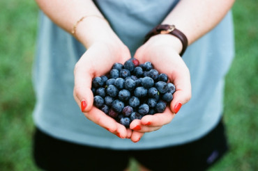 Benefit Pick for NOFA-VT’s Farmer Emergency Fund at Adam's Berry Farm | Open Farm Week 2024