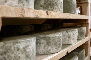 Vermont Cheese Camp: The Land of Milk & Mountains