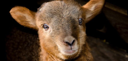 2017 Vermont Farm Show