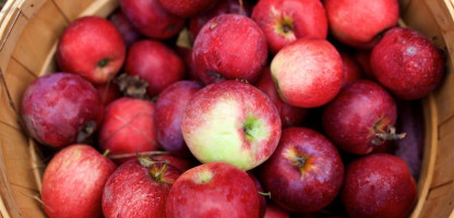 It's Apple Season in Vermont! 