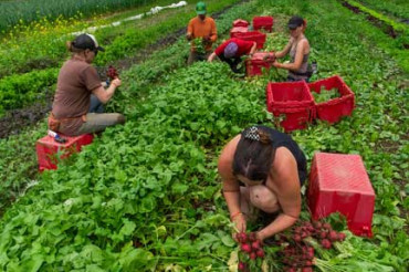 Climate Adaptation and Soil Health Practices