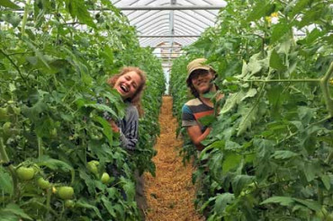 Protected Growing With High Tunnels in a Changing Climate